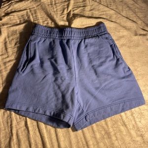 Aritzia Shorts